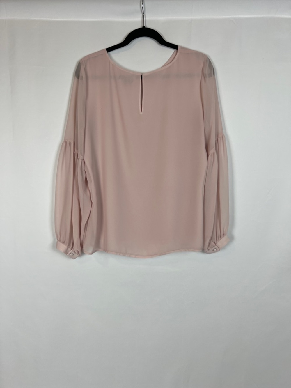 Express Blush Sheer Balloon Sleeve Top - Picture 5 of 13